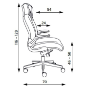 Kancelárske kreslo Dizipo, sivé
