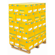 Kopírovací papier Data Copy Everyday A4, 80g