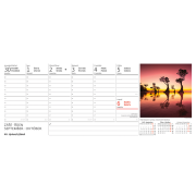 Stolový kalendár stĺpcový - Obrázky zo sveta 2025