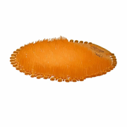 Pisoárové sitko Fre-Pro Wave 2 - Mango (oranžové) 2 ks